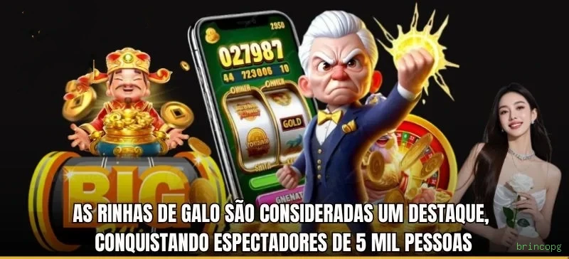 APP oficial da brincopg para mobile